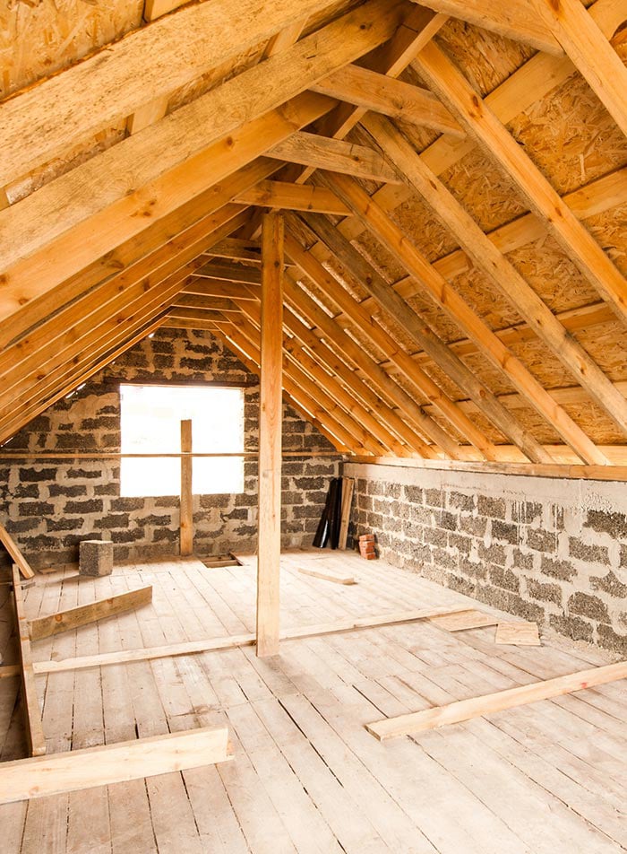 Attic and Roof Inspection